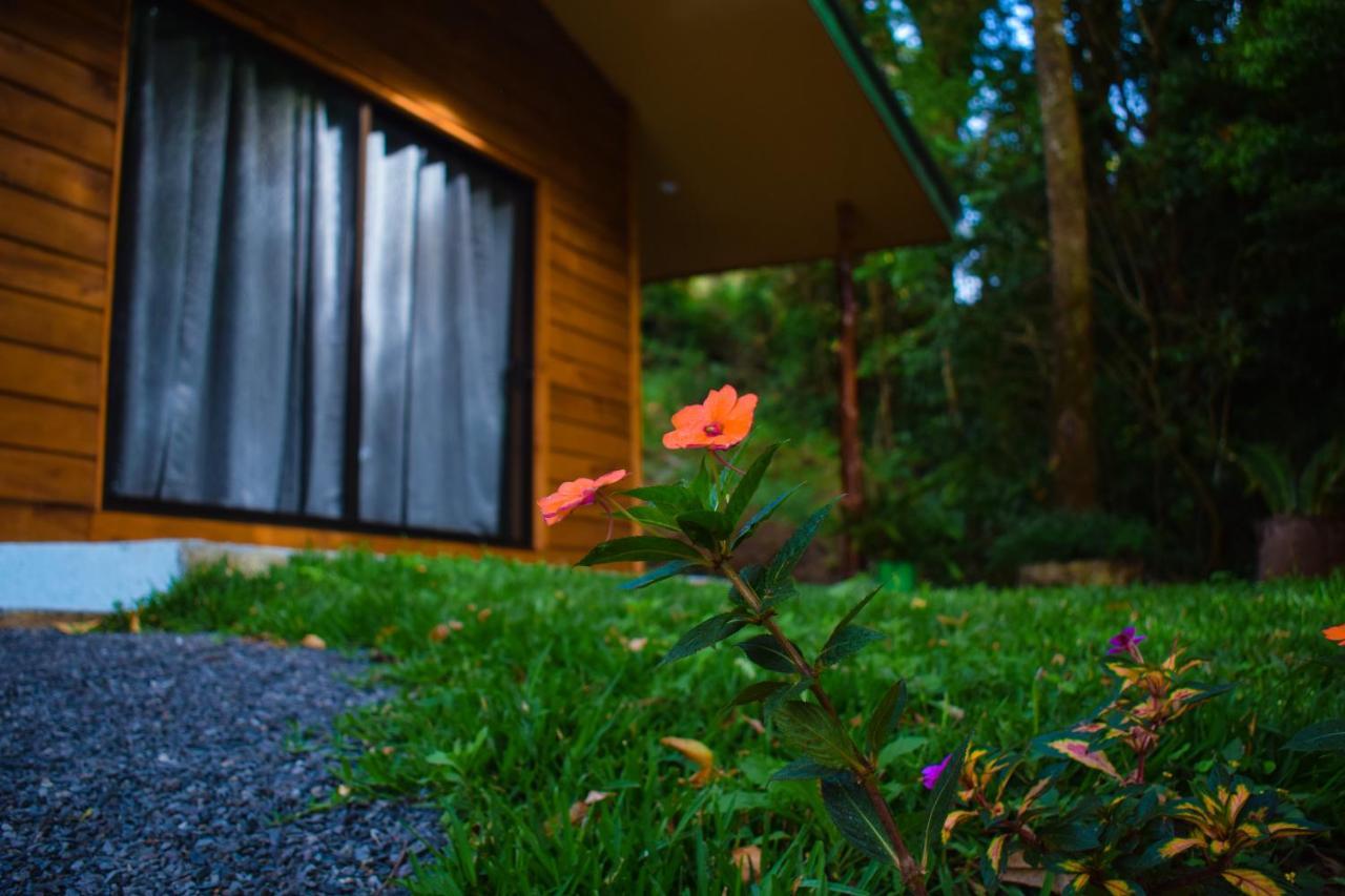 Cabanas Lys Monteverde Exterior foto